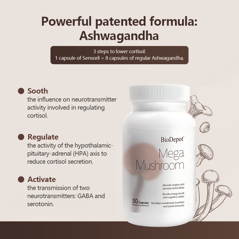 Biodepot Mega Mushroom-Immune & Energy Boost for Fatigue Stress & Anxiety Relief