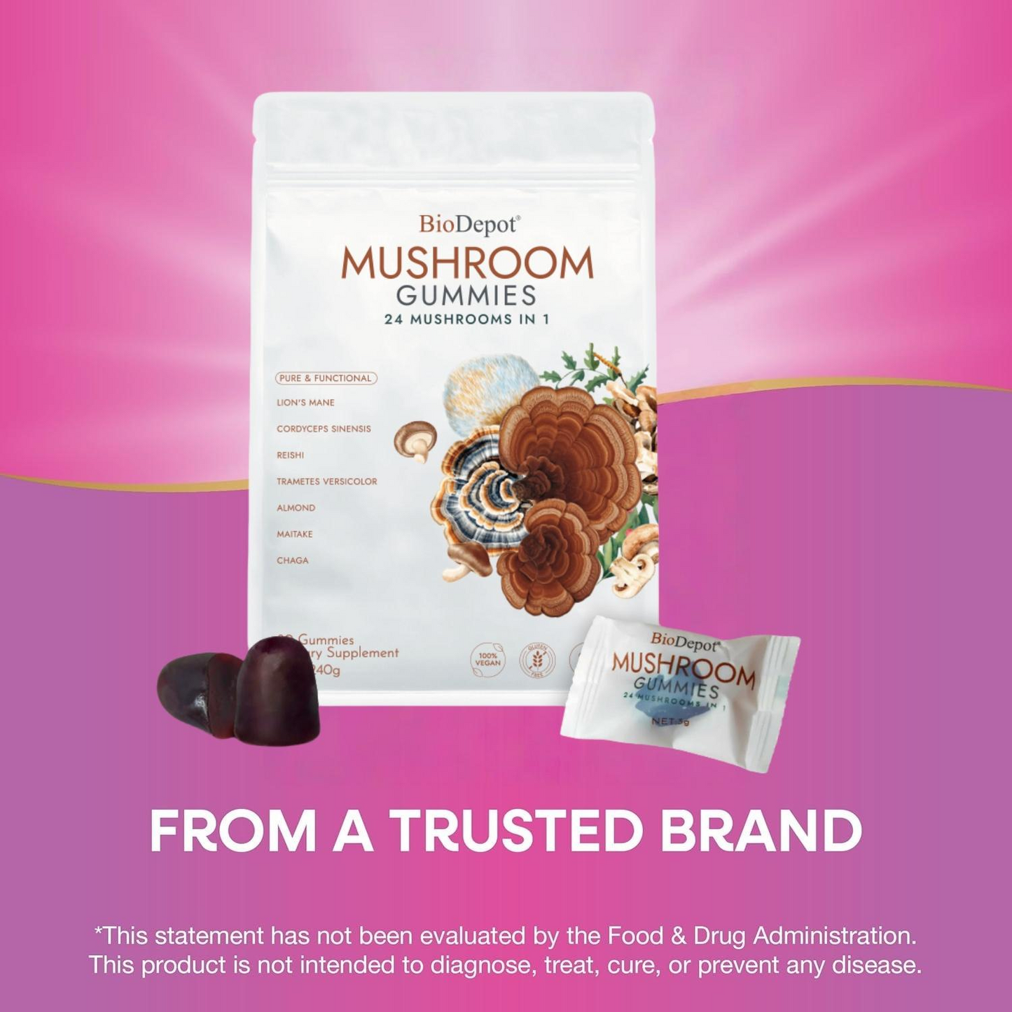 BioDepot Mushroom Gummies Mushroom Gummies - Supplement for Adults with Lion's Mane, Reishi, Chaga
