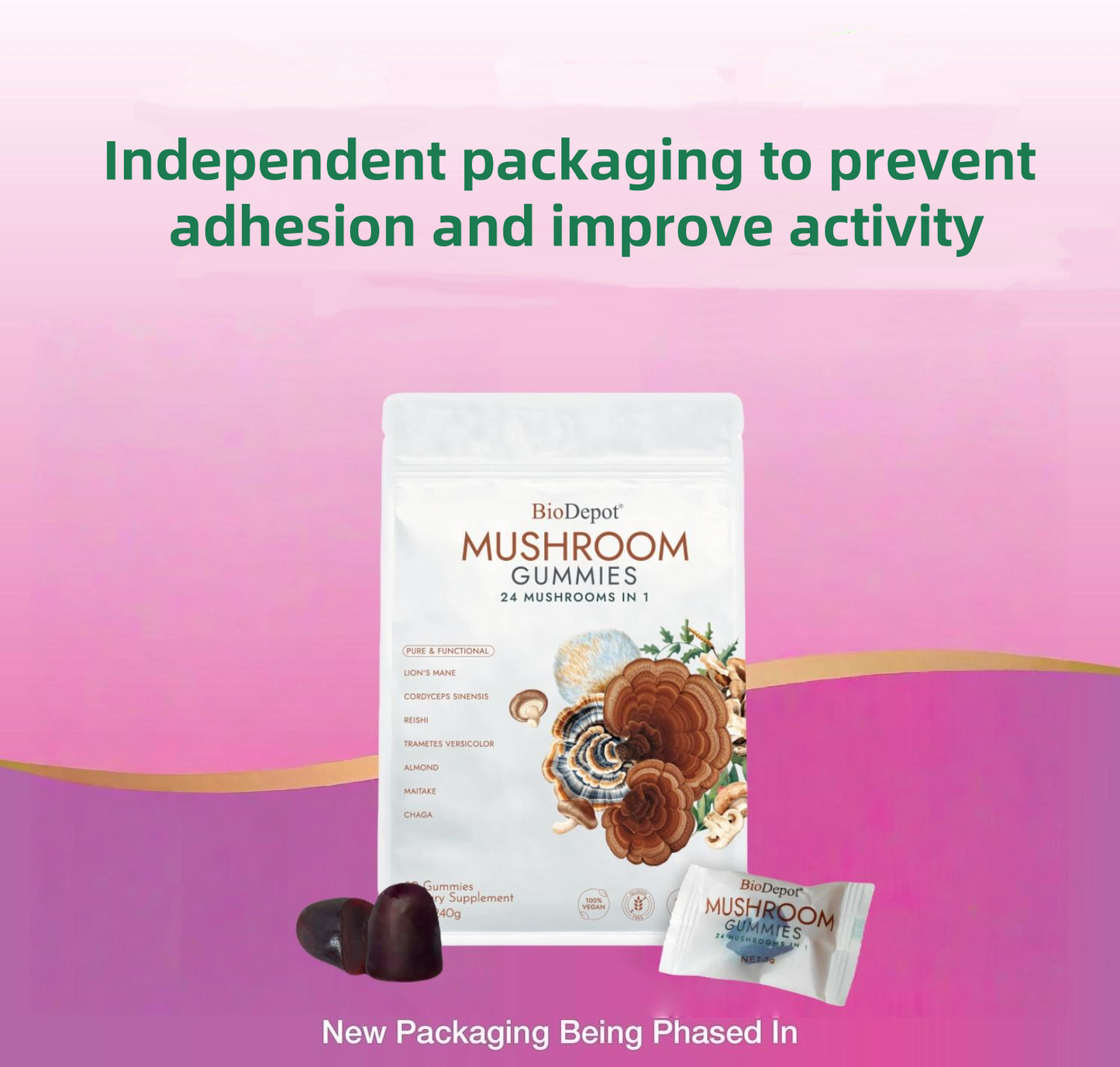 BioDepot Mushroom Gummies Mushroom Gummies - Supplement for Adults with Lion's Mane, Reishi, Chaga