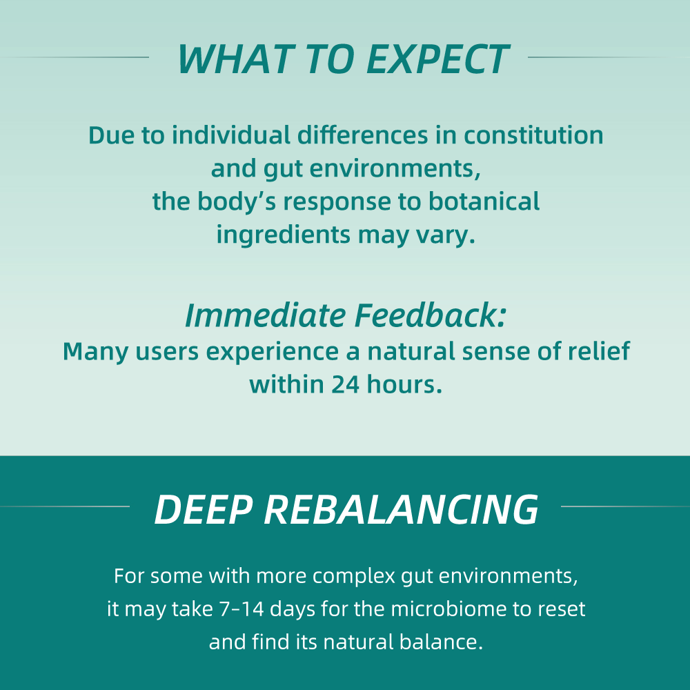 Biodepot Digestive Support Supplements to Support Digestive Health and Nutrient Absorption