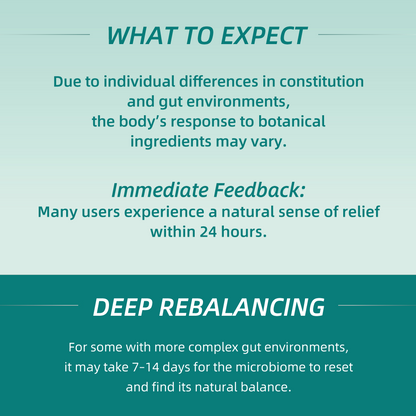 Biodepot Digestive Support Supplements to Support Digestive Health and Nutrient Absorption