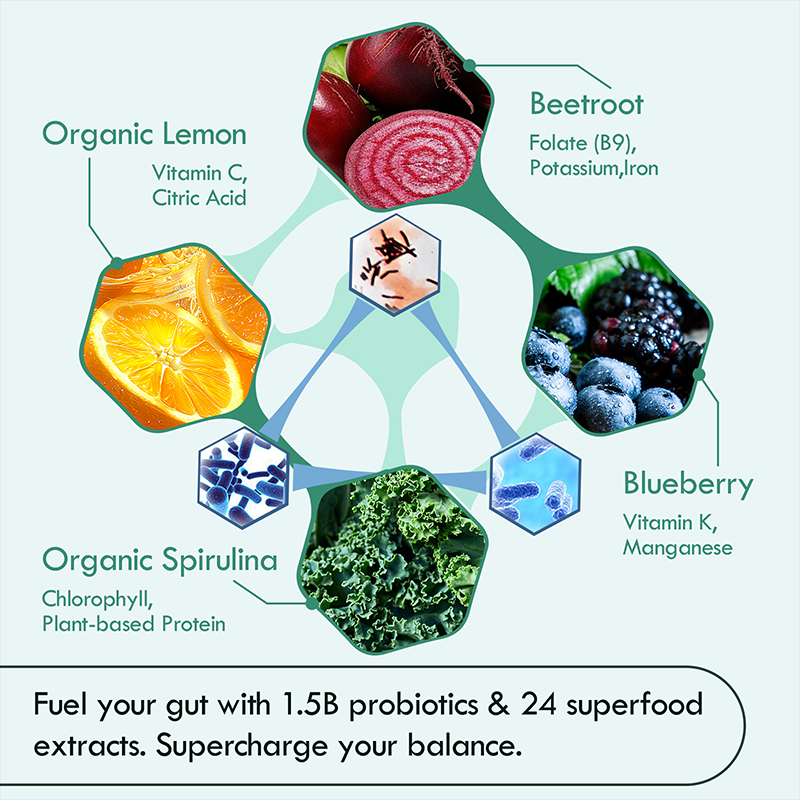 7 Day Clean 24-Fruit & Vegetable Complex Liquid Probiotic Drink - High Absorption Formula for Energy Boost, Immune Support, Gut Health, Gut Flora Improvement & Cellular Health