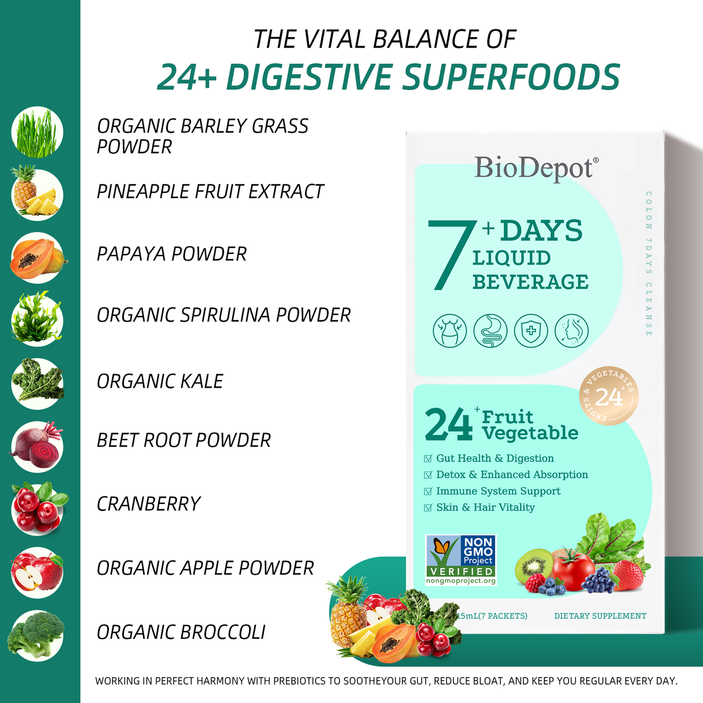 Biodepot Digestive Support Supplements to Support Digestive Health and Nutrient Absorption