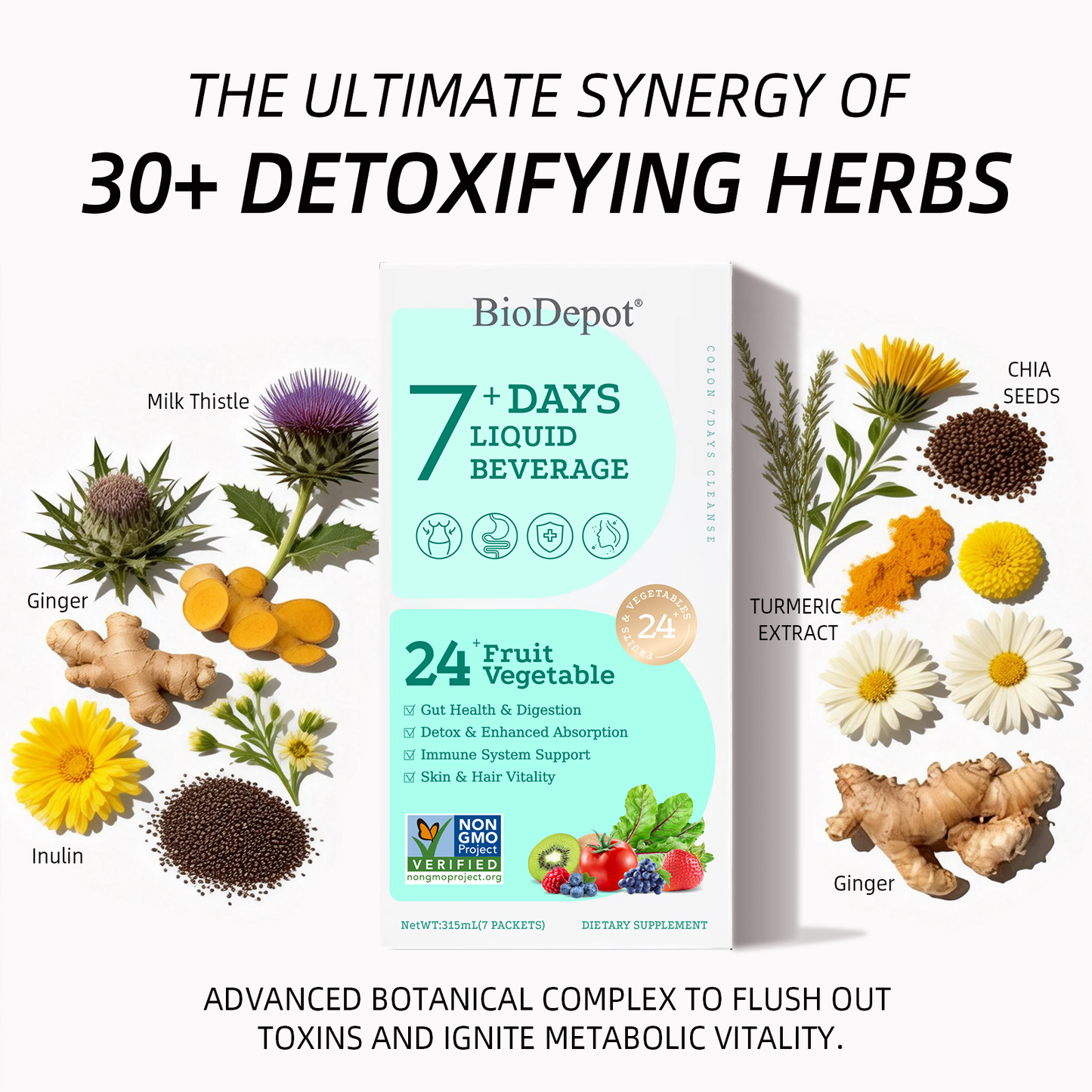 Biodepot Digestive Support Supplements to Support Digestive Health and Nutrient Absorption