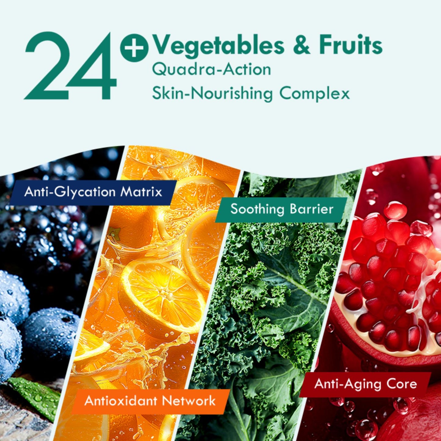 Biodepot Digestive Support Supplements to Support Digestive Health and Nutrient Absorption