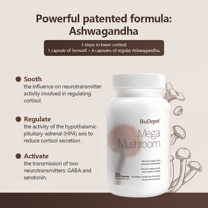 Biodepot Mega Mushroom-Immune & Energy Boost for Fatigue Stress & Anxiety Relief
